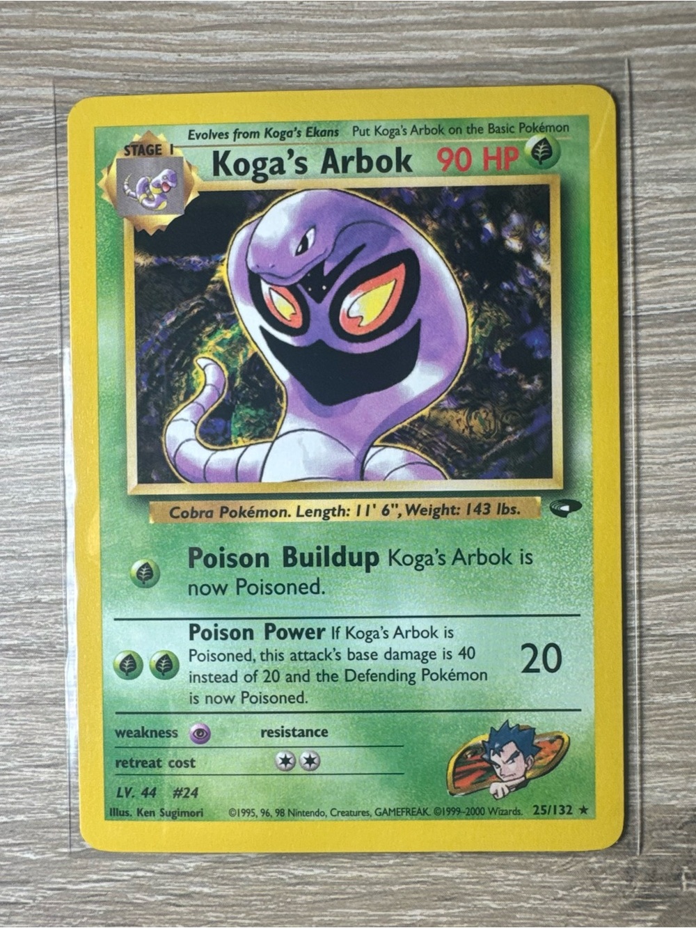Koga's Arbok #25/Pokemon Gym Challenge